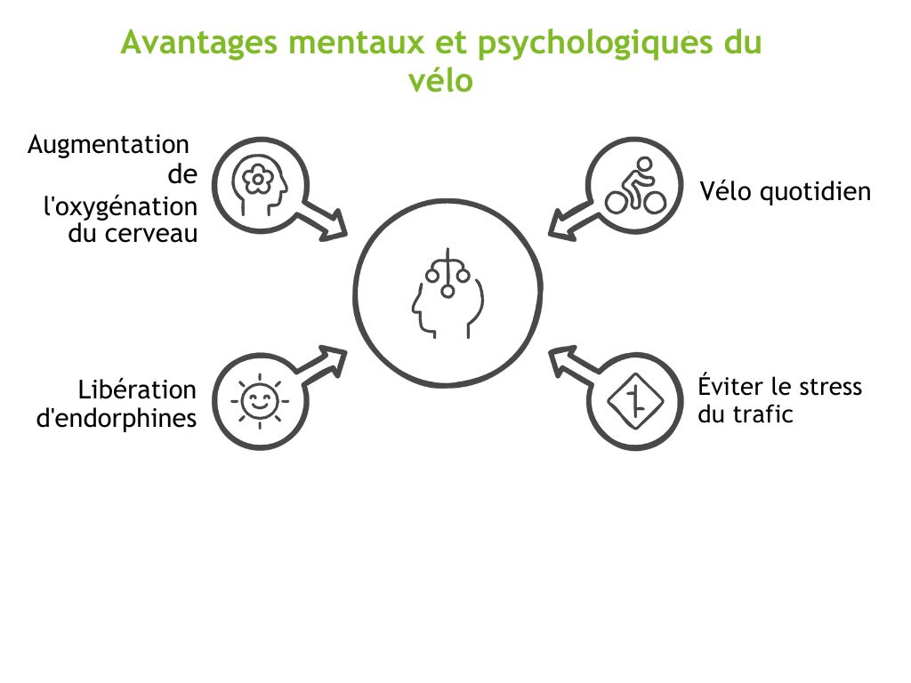 Illustration des avantages mentaux et psychologiques du vélo, comprenant l'augmentation de l'oxygénation du cerveau, la libération d'endorphines, la pratique quotidienne du vélo et l'évitement du stress du trafic.