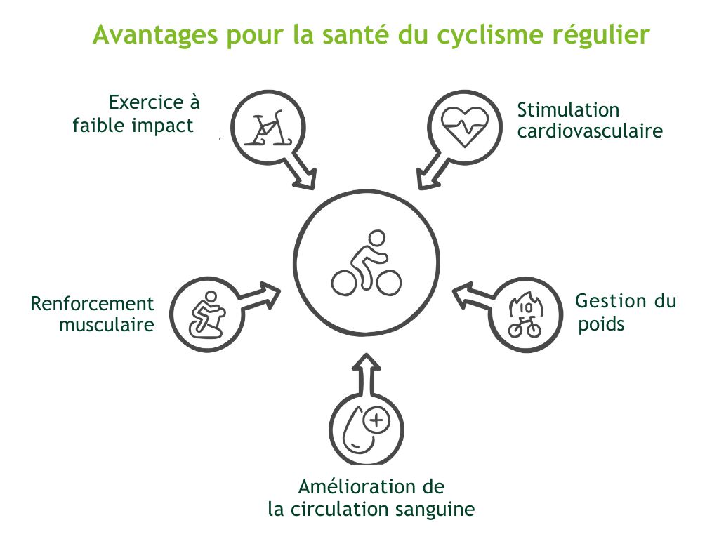 Infographie des avantages pour la santé du cyclisme régulier, incluant l'exercice à faible impact, la stimulation cardiovasculaire, le renforcement musculaire, la gestion du poids et l'amélioration de la circulation sanguine.